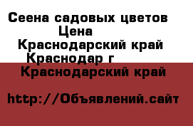 Сеена садовых цветов › Цена ­ 20 - Краснодарский край, Краснодар г.  »    . Краснодарский край